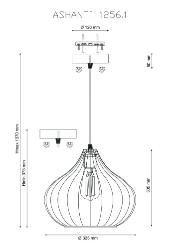 Светильник подвесной лофт ASHANTI 1256.1 Lucia Tucci прозрачный 1 лампа, основание чёрное в стиле лофт выдувное фото 3